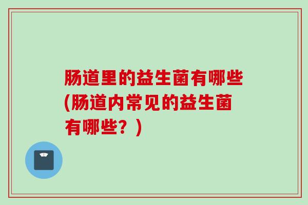 肠道里的益生菌有哪些(肠道内常见的益生菌有哪些?) 肠道里的益生菌有哪些(肠道内常见的益生菌有哪些?)
