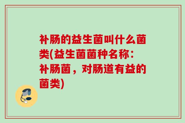 补肠的益生菌叫什么菌类(益生菌菌种名称：补肠菌，对肠道有益的菌类)