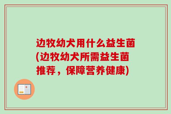 边牧幼犬用什么益生菌(边牧幼犬所需益生菌推荐,保障营养健康) 边牧幼犬用什么益生菌(边牧幼犬所需益生菌推荐,保障营养健康)