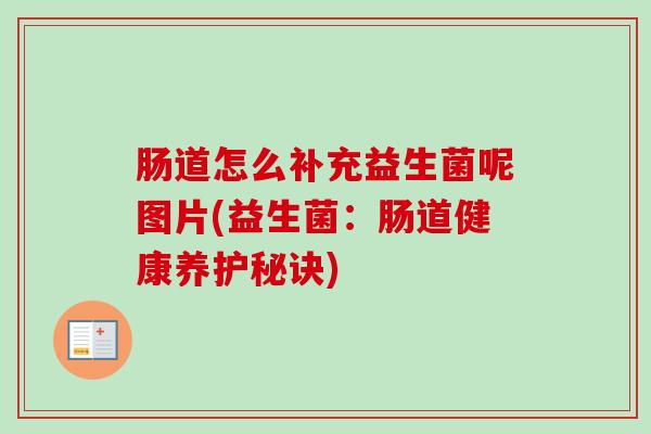 肠道怎么补充益生菌呢图片(益生菌:肠道健康养护秘诀) 肠道怎么补充益生菌呢图片(益生菌:肠道健康养护秘诀)