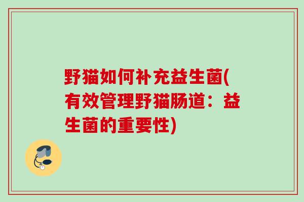 野猫如何补充益生菌(有效管理野猫肠道：益生菌的重要性)