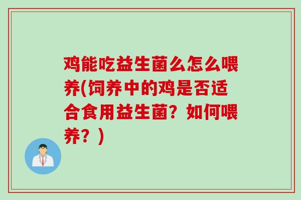 鸡能吃益生菌么怎么喂养(饲养中的鸡是否适合食用益生菌?如何喂养?) 鸡能吃益生菌么怎么喂养(饲养中的鸡是否适合食用益生菌?如何喂养?)