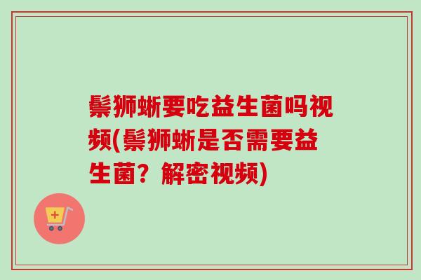 鬃狮蜥要吃益生菌吗视频(鬃狮蜥是否需要益生菌?解密视频) 鬃狮蜥要吃益生菌吗视频(鬃狮蜥是否需要益生菌?解密视频)