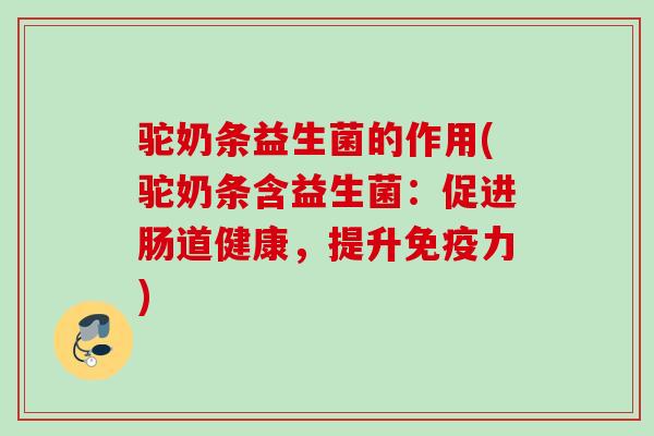 驼奶条益生菌的作用(驼奶条含益生菌：促进肠道健康，提升力)