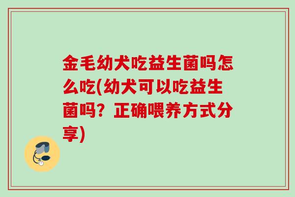 金毛幼犬吃益生菌吗怎么吃(幼犬可以吃益生菌吗?正确喂养方式分享) 金毛幼犬吃益生菌吗怎么吃(幼犬可以吃益生菌吗?正确喂养方式分享)