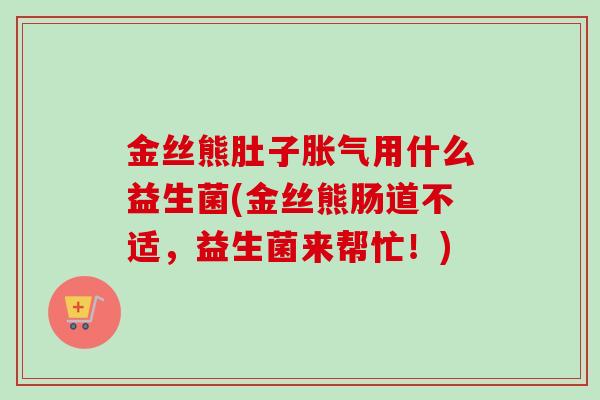 金丝熊肚子用什么益生菌(金丝熊肠道不适，益生菌来帮忙！)