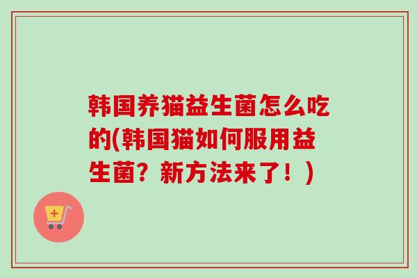 韩国养猫益生菌怎么吃的(韩国猫如何服用益生菌？新方法来了！)