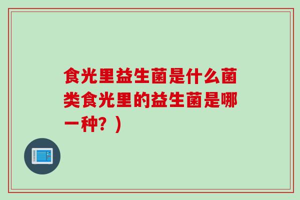 食光里益生菌是什么菌类食光里的益生菌是哪一种？)