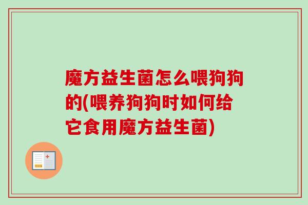 魔方益生菌怎么喂狗狗的(喂养狗狗时如何给它食用魔方益生菌)
