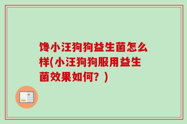 馋小汪狗狗益生菌怎么样(小汪狗狗服用益生菌效果如何?) 馋小汪狗狗益生菌怎么样(小汪狗狗服用益生菌效果如何?)