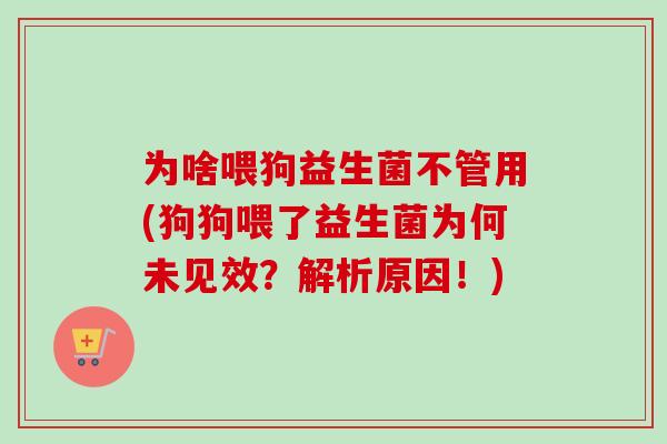 为啥喂狗益生菌不管用(狗狗喂了益生菌为何未见效?解析原因!) 为啥喂狗益生菌不管用(狗狗喂了益生菌为何未见效?解析原因!)