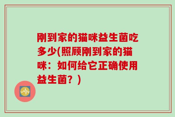 刚到家的猫咪益生菌吃多少(照顾刚到家的猫咪:如何给它正确使用益生菌?) 刚到家的猫咪益生菌吃多少(照顾刚到家的猫咪:如何给它正确使用益生菌?)