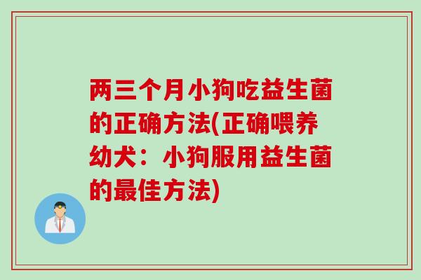 两三个月小狗吃益生菌的正确方法(正确喂养幼犬:小狗服用益生菌的佳方法) 两三个月小狗吃益生菌的正确方法(正确喂养幼犬:小狗服用益生菌的佳方法)
