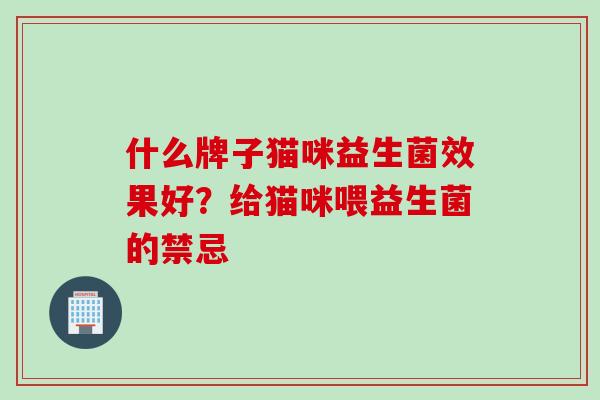 什么牌子猫咪益生菌效果好？给猫咪喂益生菌的禁忌
