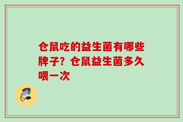 仓鼠吃的益生菌有哪些牌子？仓鼠益生菌多久喂一次