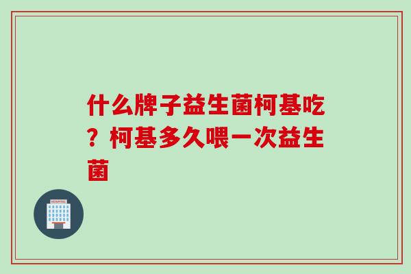 什么牌子益生菌柯基吃？柯基多久喂一次益生菌
