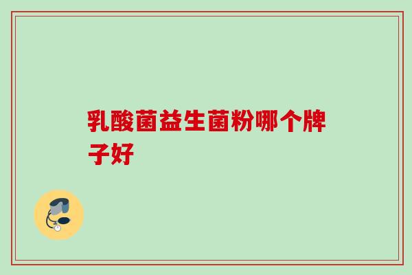 乳酸菌益生菌粉哪个牌子好