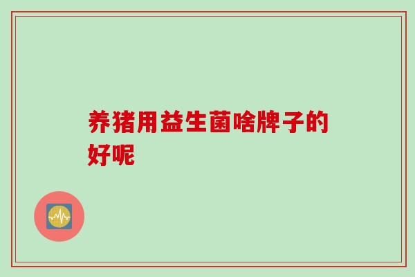 养猪用益生菌啥牌子的好呢