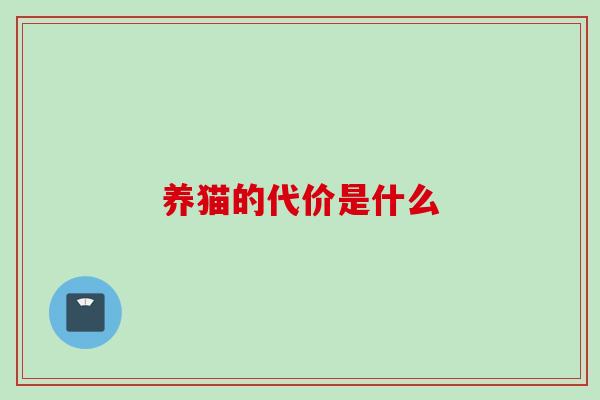 养猫的代价是什么 养猫的代价是什么