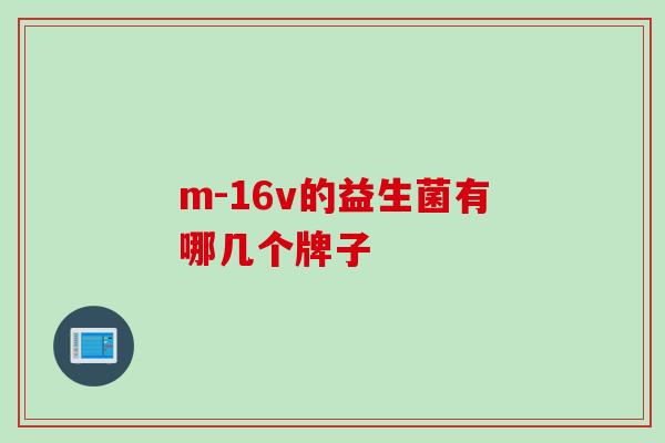 m-16v的益生菌有哪几个牌子