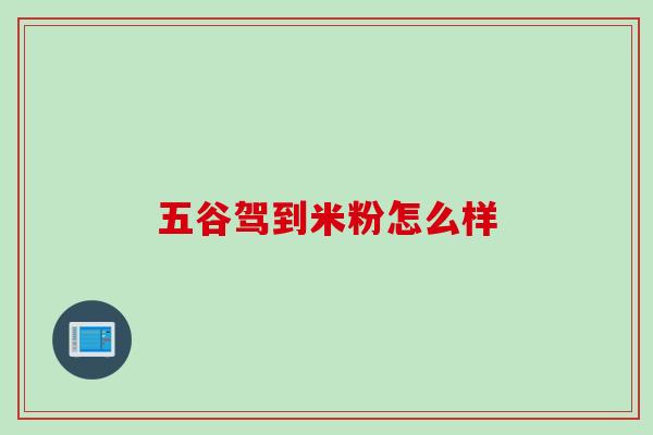 五谷驾到米粉怎么样 五谷驾到米粉怎么样