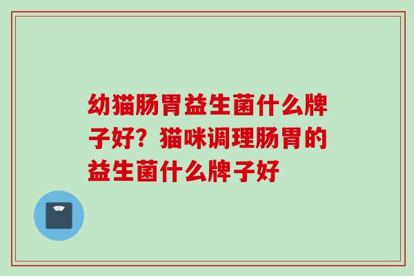 幼猫肠胃益生菌什么牌子好？猫咪调理肠胃的益生菌什么牌子好