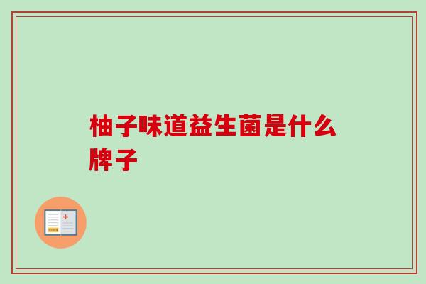 柚子味道益生菌是什么牌子