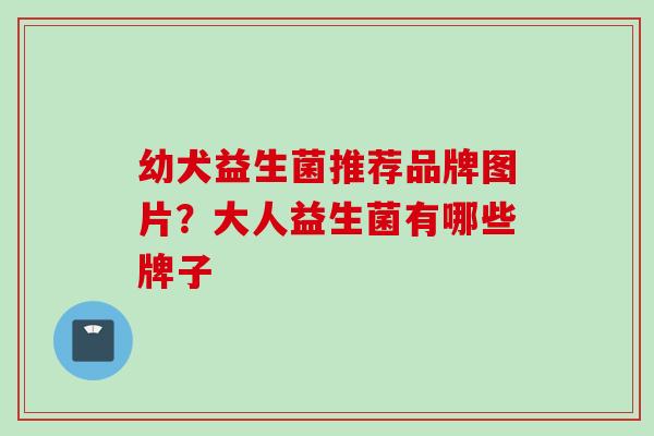 幼犬益生菌推荐品牌图片?大人益生菌有哪些牌子 幼犬益生菌推荐品牌图片?大人益生菌有哪些牌子
