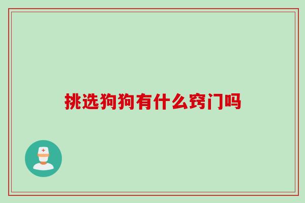 挑选狗狗有什么窍门吗 挑选狗狗有什么窍门吗