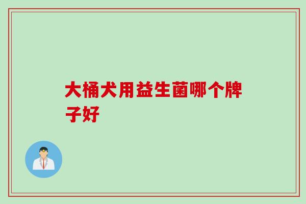 大桶犬用益生菌哪个牌子好 大桶犬用益生菌哪个牌子好