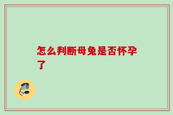 怎么判断母兔是否怀孕了 怎么判断母兔是否怀孕了