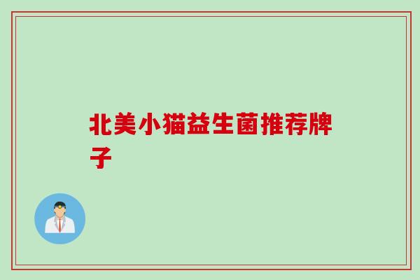 北美小猫益生菌推荐牌子