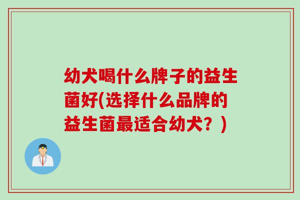 幼犬喝什么牌子的益生菌好(选择什么品牌的益生菌适合幼犬？)