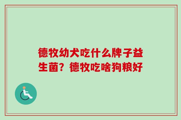 德牧幼犬吃什么牌子益生菌？德牧吃啥狗粮好