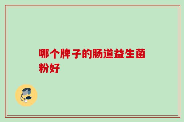 哪个牌子的肠道益生菌粉好