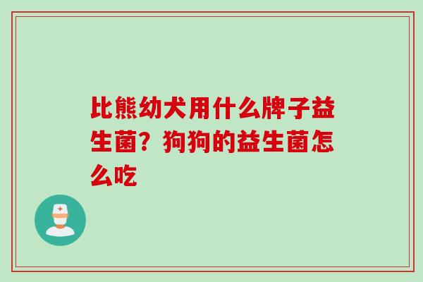 比熊幼犬用什么牌子益生菌?狗狗的益生菌怎么吃 比熊幼犬用什么牌子益生菌?狗狗的益生菌怎么吃