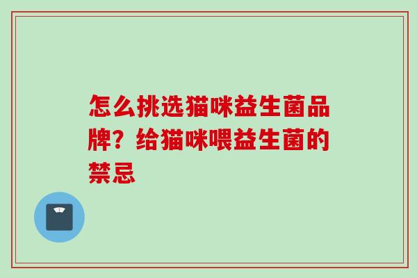 怎么挑选猫咪益生菌品牌？给猫咪喂益生菌的禁忌