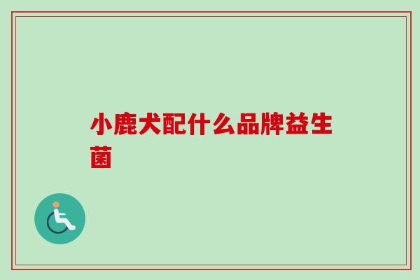小鹿犬配什么品牌益生菌 小鹿犬配什么品牌益生菌