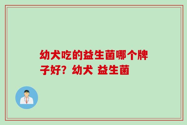 幼犬吃的益生菌哪个牌子好？幼犬 益生菌