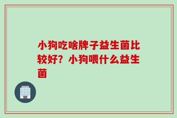 小狗吃啥牌子益生菌比较好？小狗喂什么益生菌