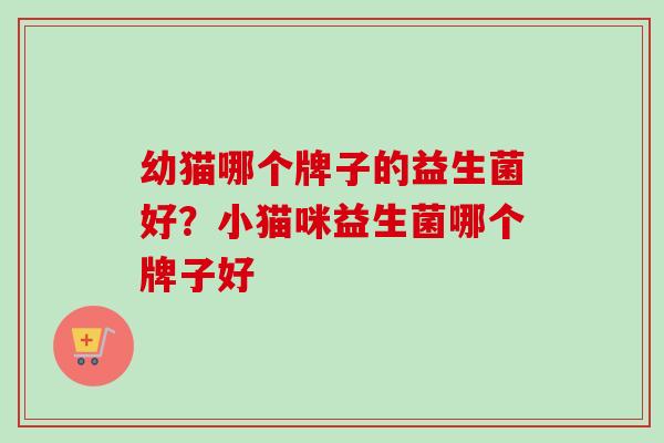 幼猫哪个牌子的益生菌好？小猫咪益生菌哪个牌子好