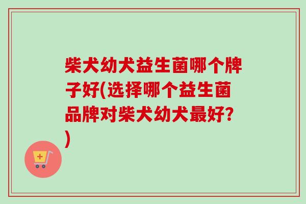 柴犬幼犬益生菌哪个牌子好(选择哪个益生菌品牌对柴犬幼犬好？)