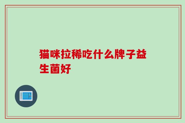猫咪拉稀吃什么牌子益生菌好