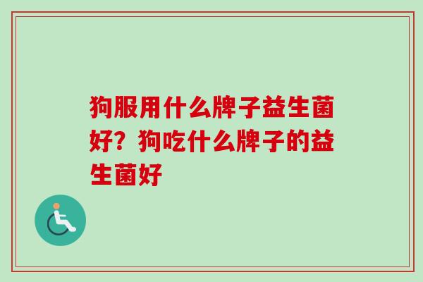 狗服用什么牌子益生菌好？狗吃什么牌子的益生菌好