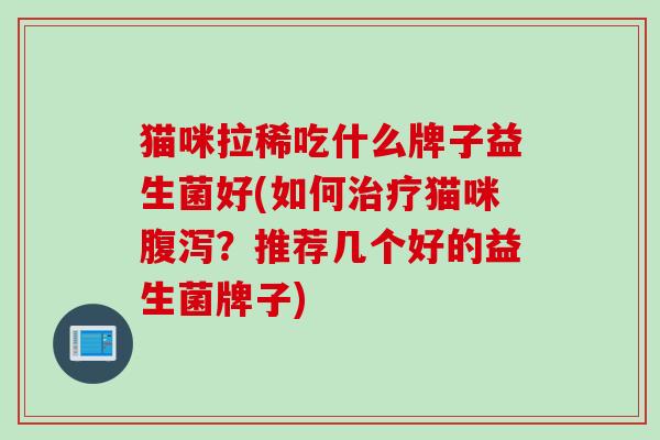 猫咪拉稀吃什么牌子益生菌好(如何猫咪?推荐几个好的益生菌牌子) 猫咪拉稀吃什么牌子益生菌好(如何猫咪?推荐几个好的益生菌牌子)