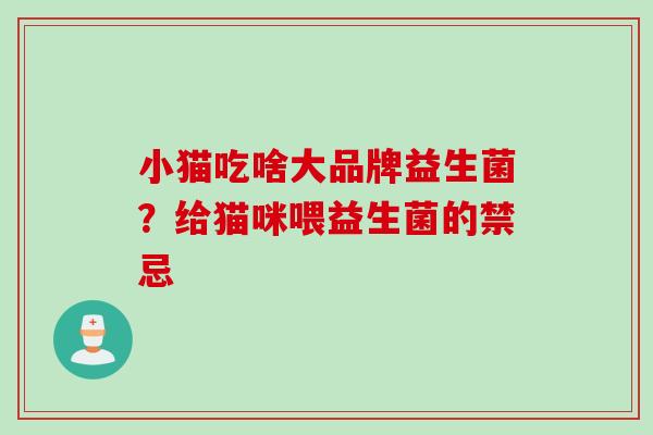 小猫吃啥大品牌益生菌？给猫咪喂益生菌的禁忌