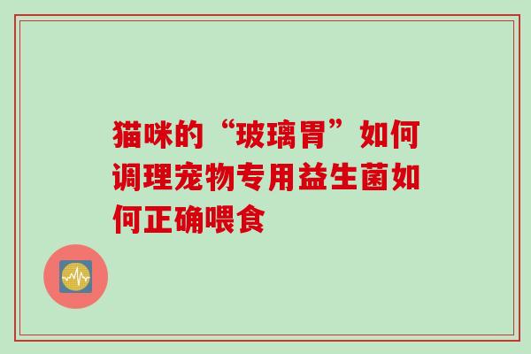 猫咪的“玻璃胃”如何调理宠物专用益生菌如何正确喂食 猫咪的“玻璃胃”如何调理宠物专用益生菌如何正确喂食
