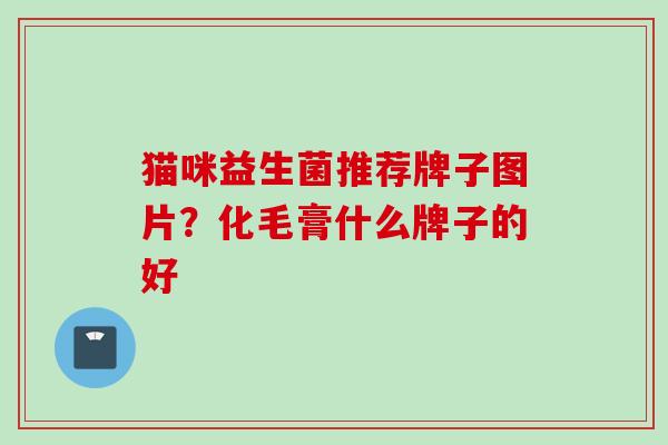 猫咪益生菌推荐牌子图片?化毛膏什么牌子的好 猫咪益生菌推荐牌子图片?化毛膏什么牌子的好