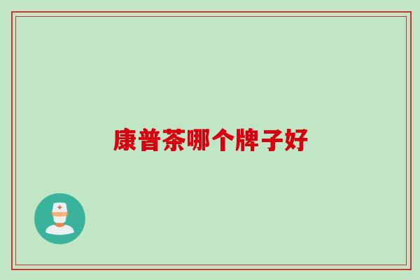 康普茶哪个牌子好