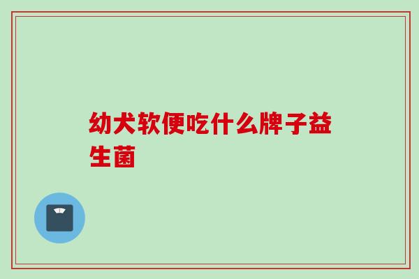 幼犬软便吃什么牌子益生菌 幼犬软便吃什么牌子益生菌